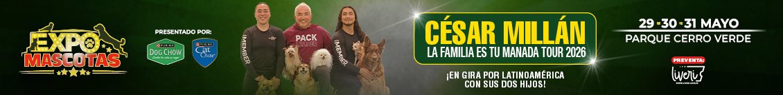 Expo mascotas